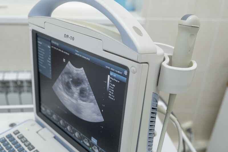Screen close-up ultrasound scanning in a modern veterinary clinic. Concept of modern medical technology in veterinary medicine.